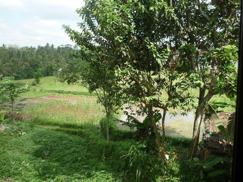 Kudos Guesthouse Ubud Exterior photo
